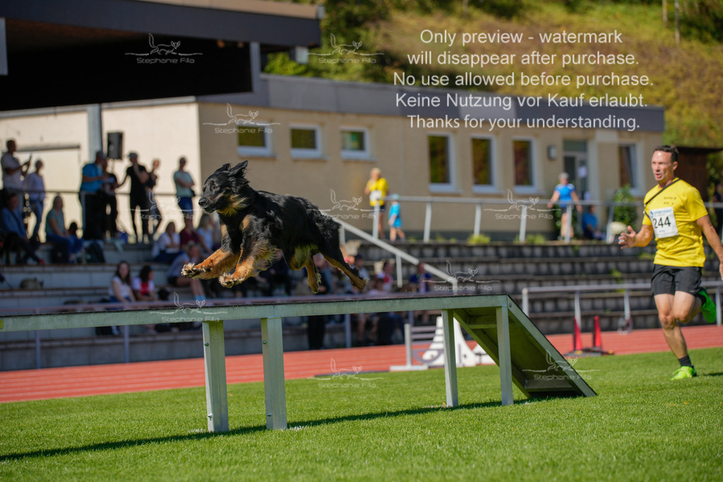 Sonntag_VK Hindernis (294 von 671) | stephaniefillaphotographie - Realisiert mit Pictrs.com