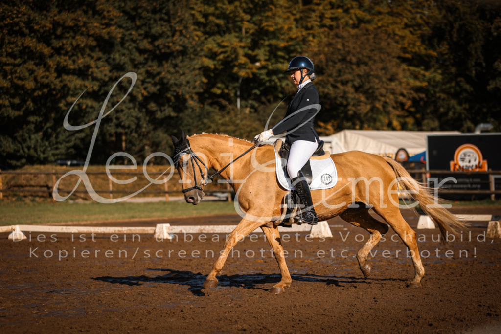 13.SoDrA100316 | Leoni Ertmer Photography - Realisiert mit Pictrs.com