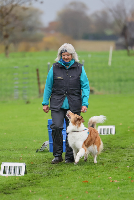 2025_Rally_Obedience_SM-102 | Ich fotografiere Hundeausstellungen, Sportanlässe, Zuchtstätten, Hundezucht, Hundeportrait, Lagotto - Realisiert mit Pictrs.com