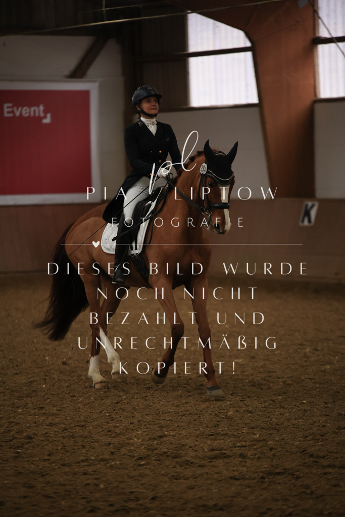 IMGT6011 | pl-fotografie