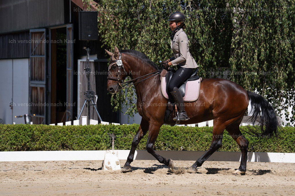 WL_DR_58_sinafilmart_IN07688 | working equitationturnier fotograf videograf stoibphotography marixx film working equitation deutschland reitsport turnierfotografie eventfotografie equestrian events