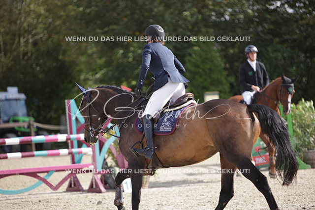 1J2A7588Erin Characklis_ Vodka Bull_ Kn1042_ Havekost | Foto- und Videografie für alles rund ums Pferd. Hochwertige Bilder und Videos vom Spring- und Dressurreiten, Voltigieren & mehr. Jetzt aktuelle Veranstaltungen und Preise im Shop ansehen. - Realisiert mit Pictrs.com