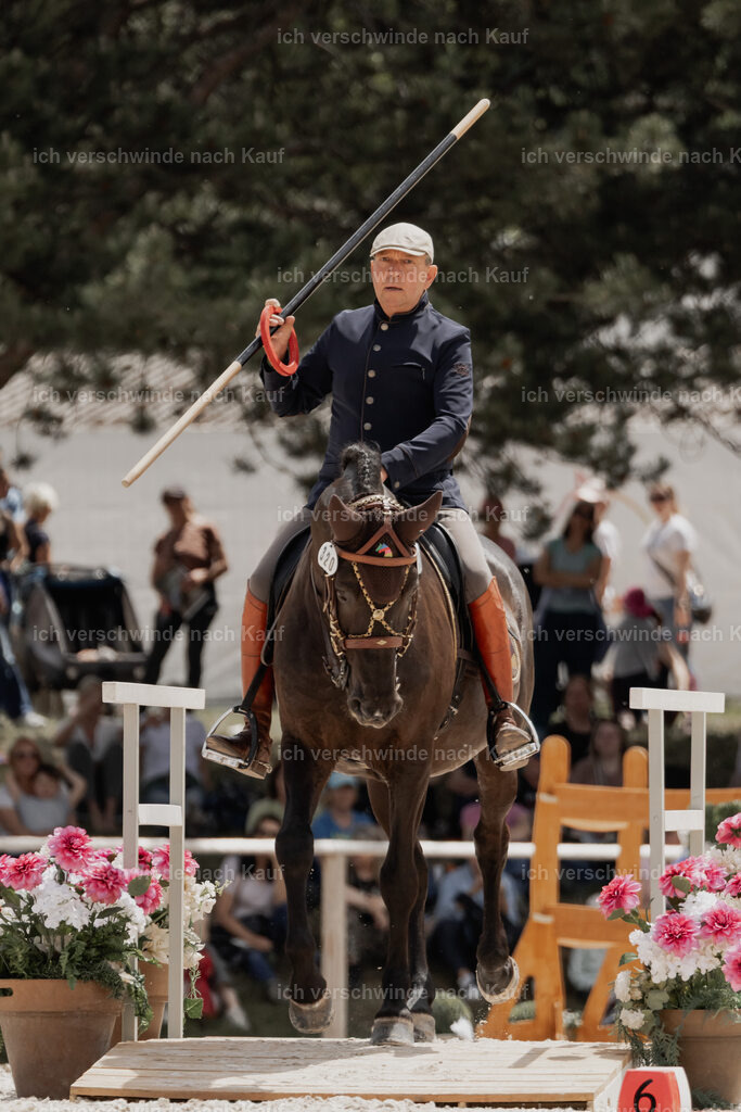 WE_ST_Stoib_320_PI2025_1107 | Pferd International München 2025