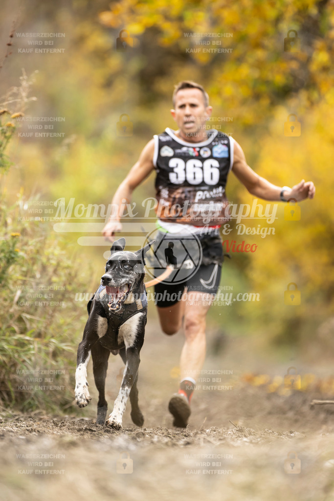 MompixPhotography_ICF_WC_2024_SA_Run_-286 | PayLife