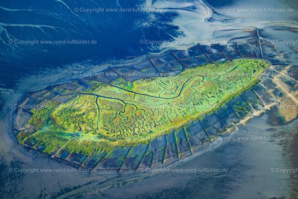 Hallig_Norderoog_ELS_7582130825 | HOOGE 13.08.2025 Küstenbereich und Naturschutzgebiet der Vogelfreistätte Hallig Norderoog - Insel in Hooge im Bundesland Schleswig-Holstein. // Coastal area of the Vogelfreistaette Hallig Norderoog - Island in Hooge in the state Schleswig-Holstein. Foto: Martin Elsen
