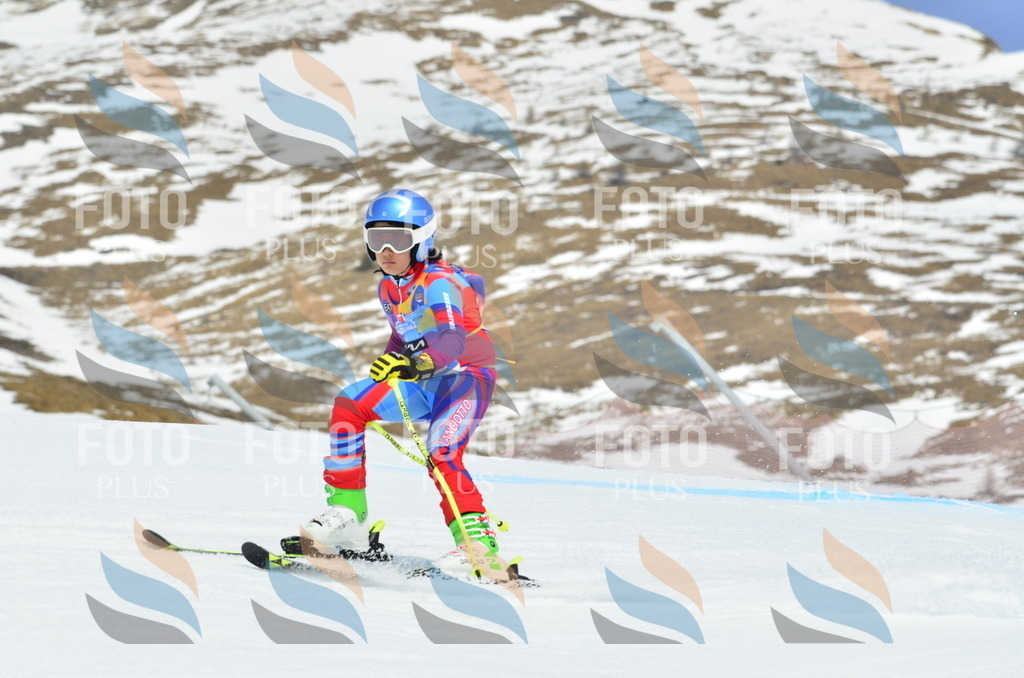 _ELE2951 | holidayphoto