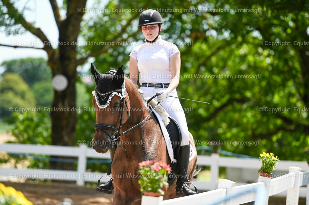 20230715_05_Dressurprüfung Kl.A++_0441 | equistock