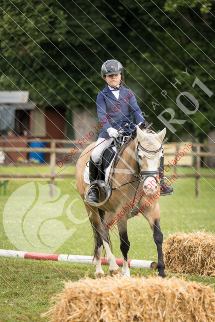 IMG_1679 | Sport-, Event- und Tierfotos in Profiqualität. Einfach auswählen, bestellen und herunterladen. Dein Moment – perfekt festgehalten.