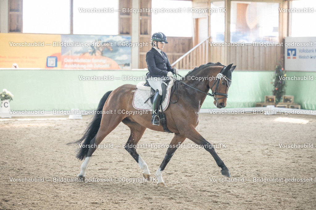 _D5A0789 | Emotionale Pferde- & People-Fotografie rund um Heidelberg, Leimen & Umgebung. Natürliche Fotos von Pferd, Mensch & Familie. Jetzt Termin sichern!