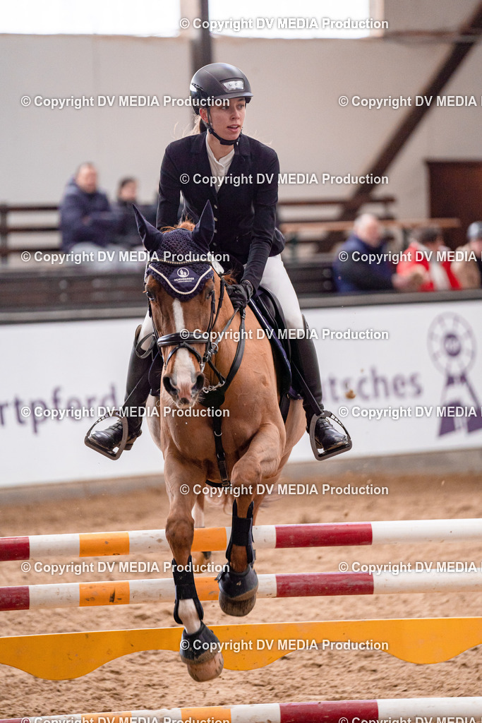 Kranichstein Tag 3-377 | dv-media-shop - Realisiert mit Pictrs.com