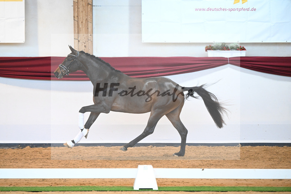Kat-Nr. 9 v. Bonds_Schmidt_66221705 | hf-fotografie - Realisiert mit Pictrs.com