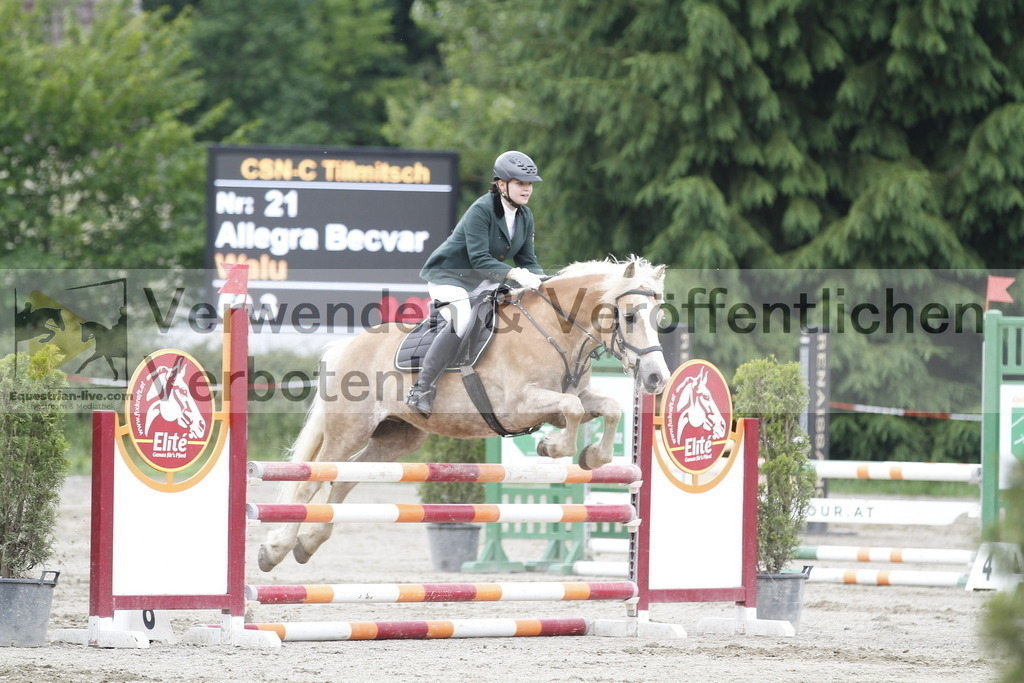 _MG_6547 | equestrian-live-com