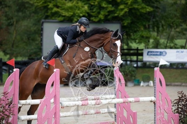 2B4A3538 | pixelfaenger - Realisiert mit Pictrs.com