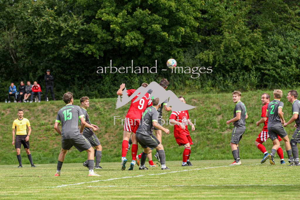 993T1025 | Medien- Sport- Entertainmentfotos