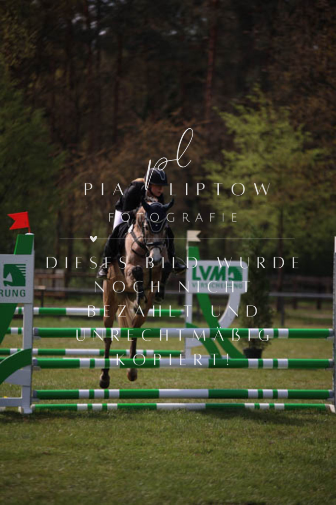 IMGT5372 | pl-fotografie