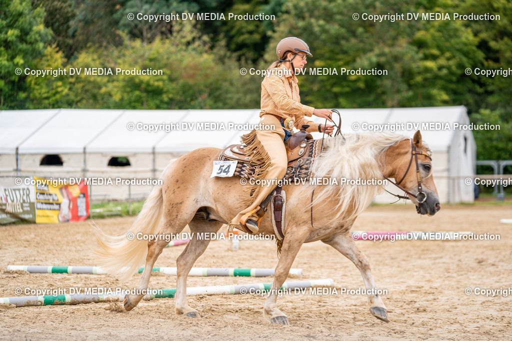 LM Heiligenwald Tag 3-936 | dv-media-shop - Realisiert mit Pictrs.com