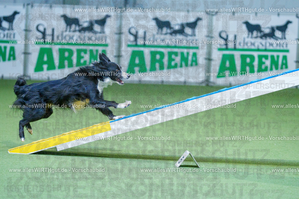 @allesWIRTHgut_Tierfotografie - www.allesWIRTHgut.de - 2604260809-7R506733 | Professionelle Tierfotografie in Mönchengladbach von Daniel Wirth (allesWIRTHgut). Liebevolle & natürliche Bilder von Hunden & Katzen für unvergessliche Erinnerungen.