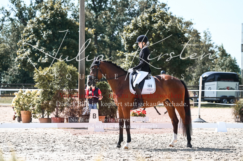 DSC_5071 | Pferde- und Turnierfotografie in Westsachsen. Pferdeportraits, Auftragszeichnungen und intuitive Kunst.