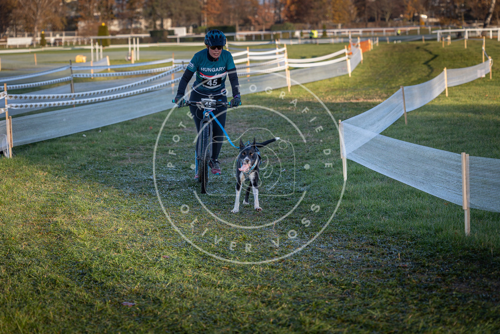 CaniXpix_0L8A2541 | Hundefotografie, Tierfotograf, Pfotenfotografie, Fotoshooting Hund, Hunde Portrait, Hundesport, Hundeportraits, Heideshooting, Hunde, Sportfotograf, Hundefotograf, Turnierhundsport, THS,  - Realisiert mit Pictrs.com