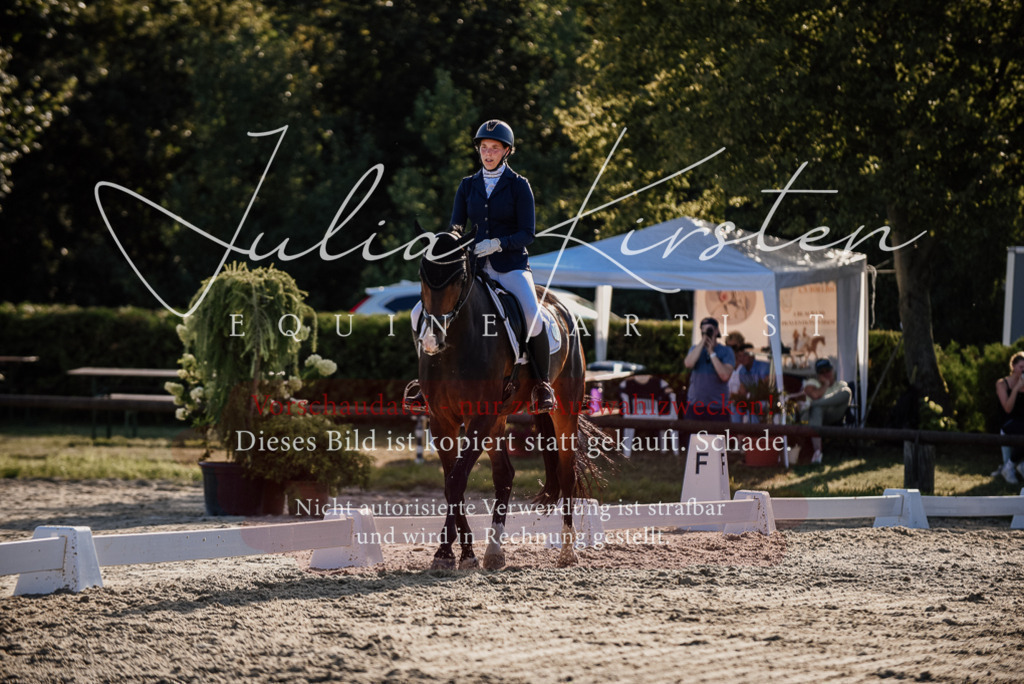 DSC_0638 | Pferde- und Turnierfotografie in Westsachsen. Pferdeportraits, Auftragszeichnungen und intuitive Kunst.