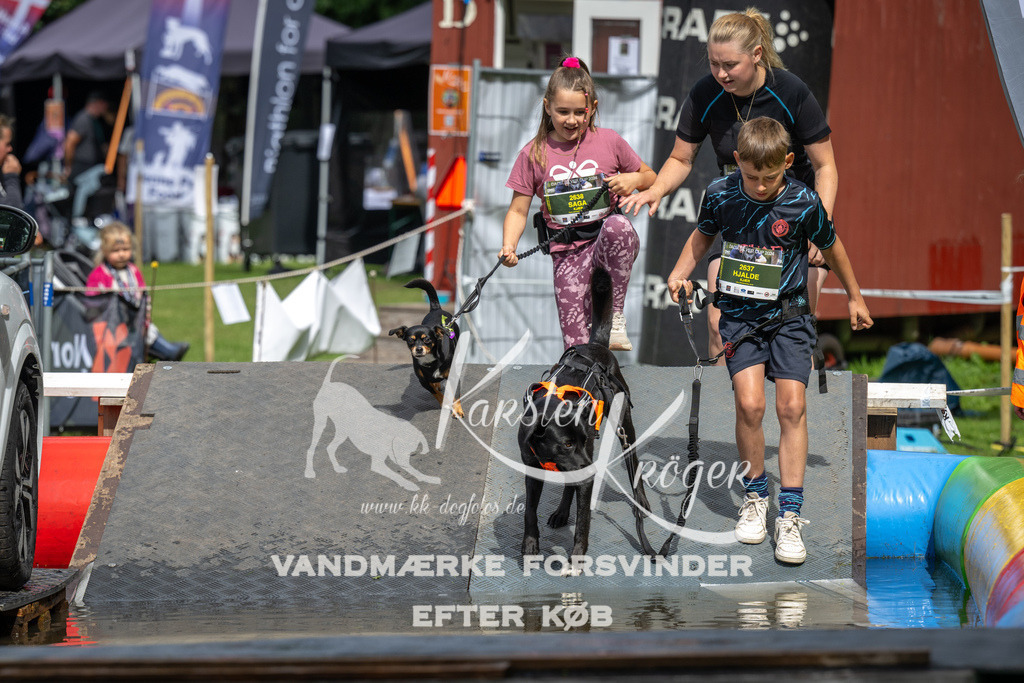 1440_ZZ91808 | kk-dogfotos