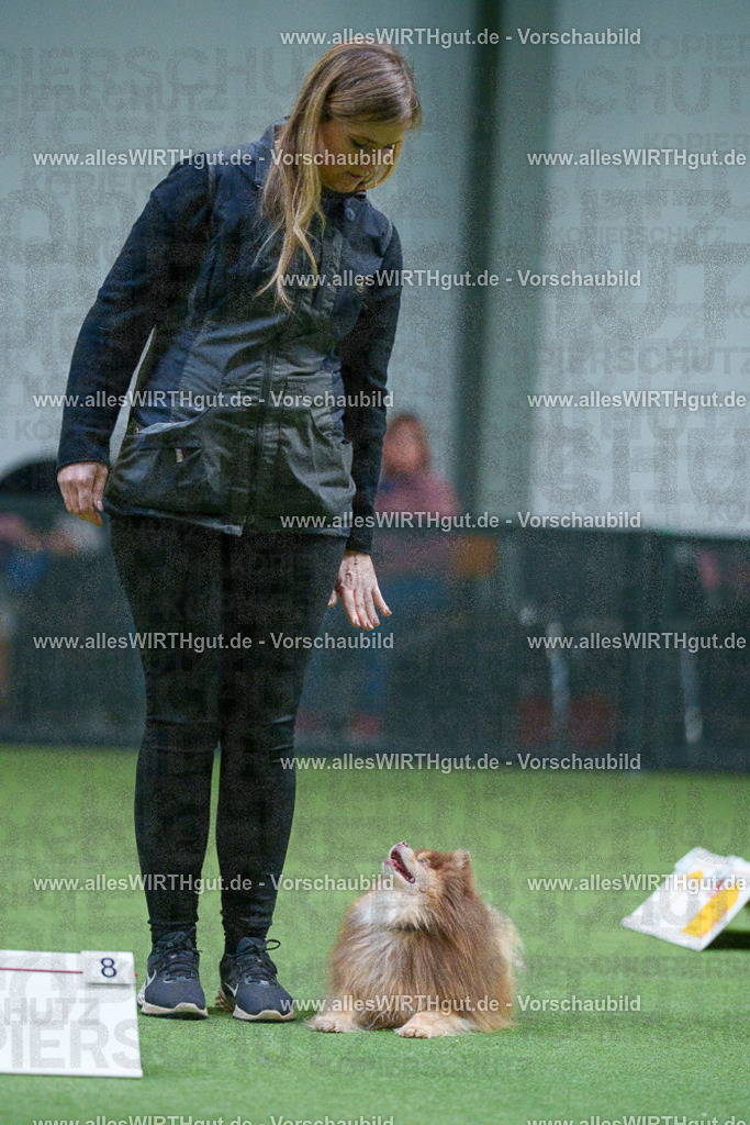 7R501797 | Professionelle Tierfotografie in Mönchengladbach von Daniel Wirth (allesWIRTHgut). Liebevolle & natürliche Bilder von Hunden & Katzen für unvergessliche Erinnerungen.