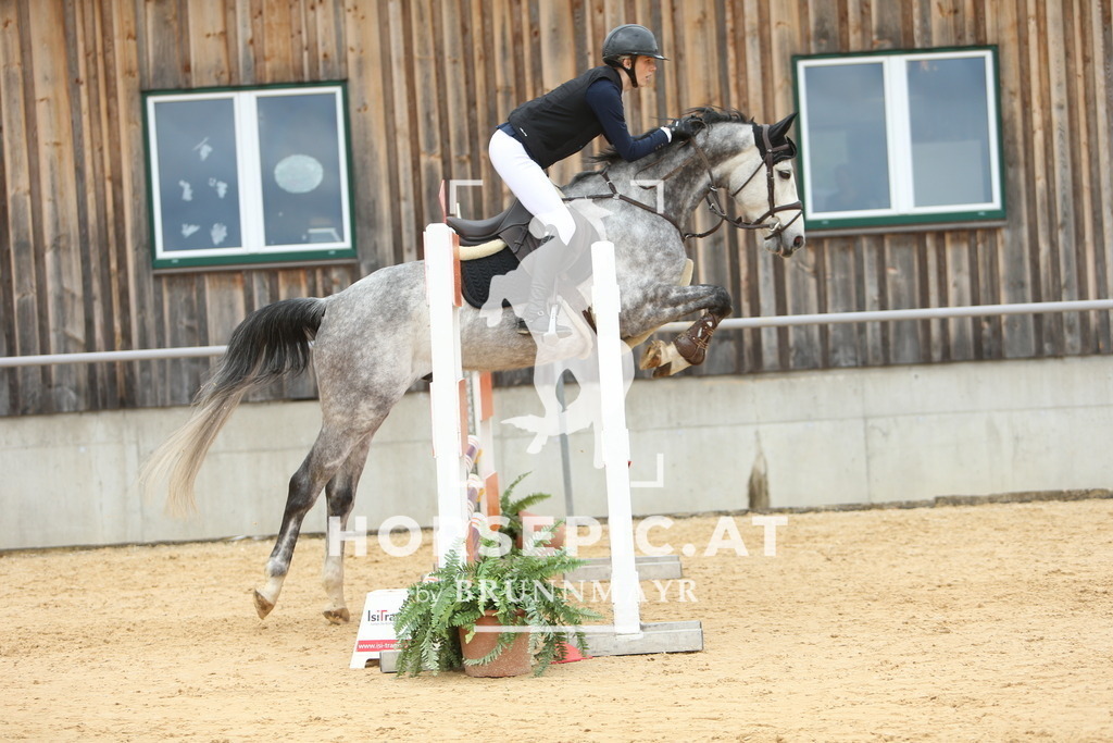 DL2Q1723 | Willkommen bei Brunnmayr - Design & Fotografie – Ihrem Spezialisten für Reitturniere und Pferdeveranstaltungen in Oberösterreich, Salzburg und Bayern! Seit über 17 Jahren sind wir leidenschaftlich dabei.