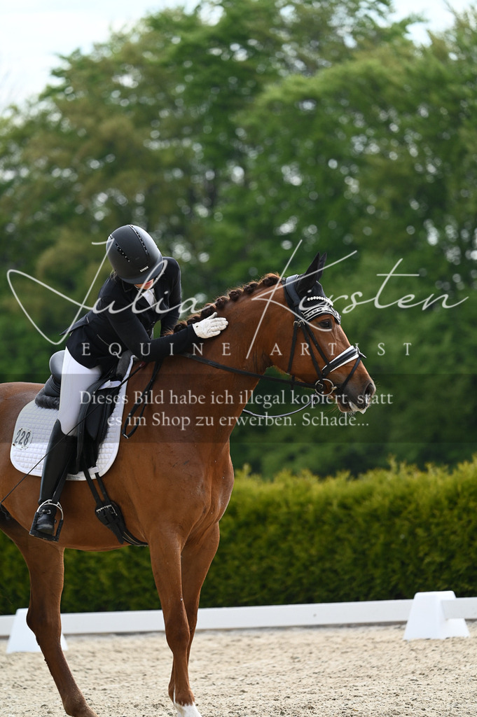 20230512_JK-Röhrsdorf-02-337 | Pferde- und Turnierfotografie in Westsachsen. Pferdeportraits, Auftragszeichnungen und intuitive Kunst.