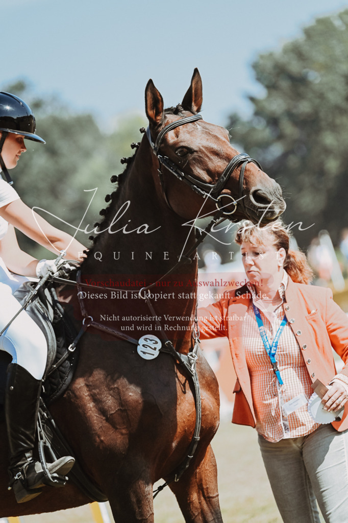 DSC_0144 | Pferde- und Turnierfotografie in Westsachsen. Pferdeportraits, Auftragszeichnungen und intuitive Kunst.
