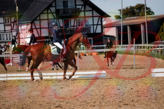 2026_10_03_Siefer-Hof_123435_Z63_52837483 | Professionelle Reitsport-, Turnier- und Eventfotografie von Robert Broda. Galerien mit ausgewählten und bearbeiteten Bildern direkt online ansehen und bestellen.