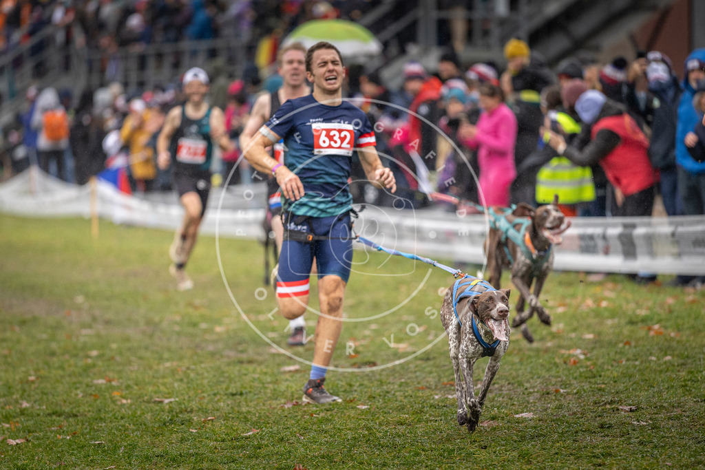 CaniXpix_DV3A9762 | Hundefotografie, Tierfotograf, Pfotenfotografie, Fotoshooting Hund, Hunde Portrait, Hundesport, Hundeportraits, Heideshooting, Hunde, Sportfotograf, Hundefotograf, Turnierhundsport, THS,  - Realisiert mit Pictrs.com