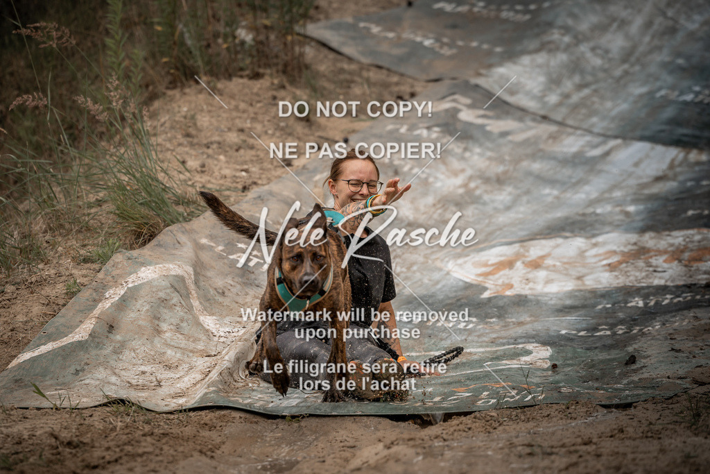 nelerasche_sa1000-1100_247 | nelerasche