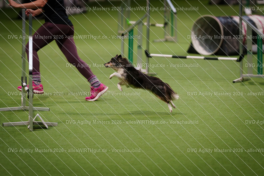 allesWIRTHgut_Tierfotografie-DVG_Agility_Masters_2026-08_14-7R507764 | Professionelle Tierfotografie in Mönchengladbach von Daniel Wirth (allesWIRTHgut). Liebevolle & natürliche Bilder von Hunden & Katzen für unvergessliche Erinnerungen.