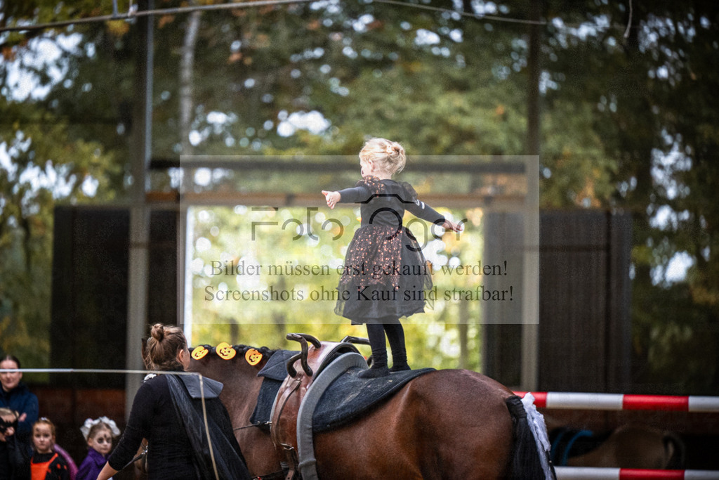 DOS_0115 | Entdecke hochwertige Reitturnierfotos von Foto Oger. Professionell, emotional und authentisch – jetzt Lieblingsmomente im Shop bestellen.Deutschlandweite Turnierfotografie. - Realisiert mit Pictrs.com