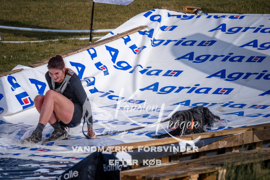 _ZZ954660726 | kk-dogfotos