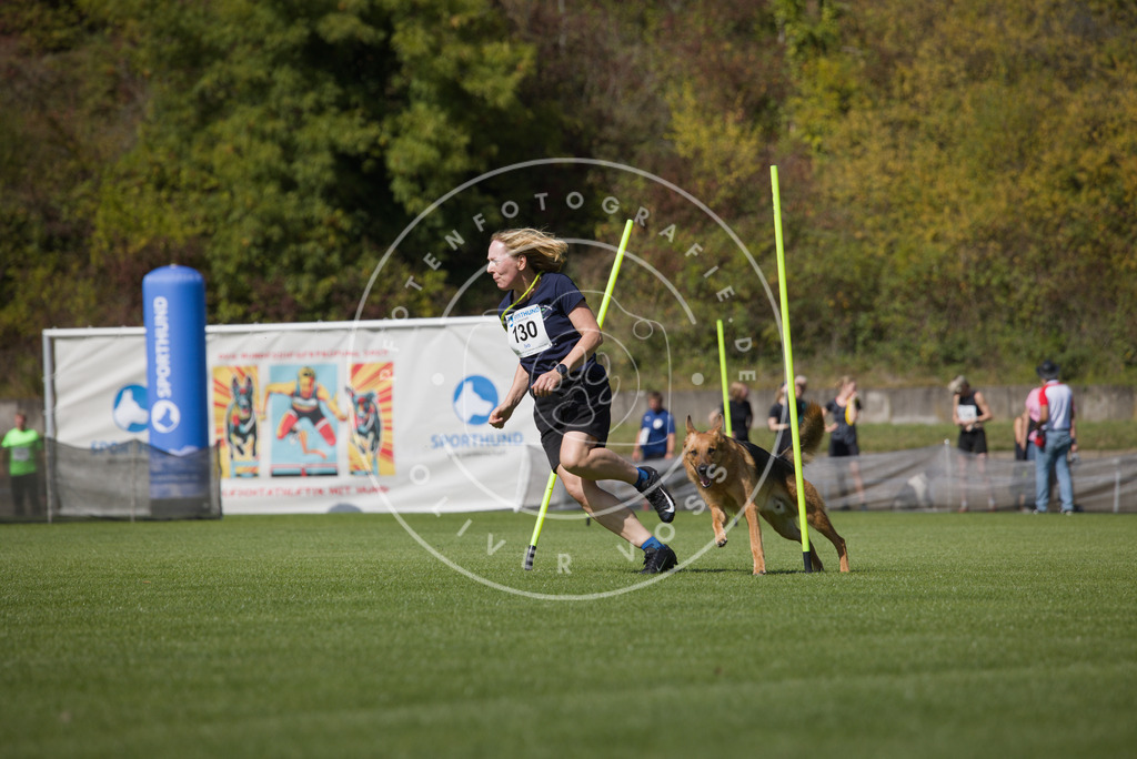 0L8A2913 | Hundefotografie, Tierfotograf, Pfotenfotografie, Fotoshooting Hund, Hunde Portrait, Hundesport, Hundeportraits, Heideshooting, Hunde, Sportfotograf, Hundefotograf, Turnierhundsport, THS,  - Realisiert mit Pictrs.com