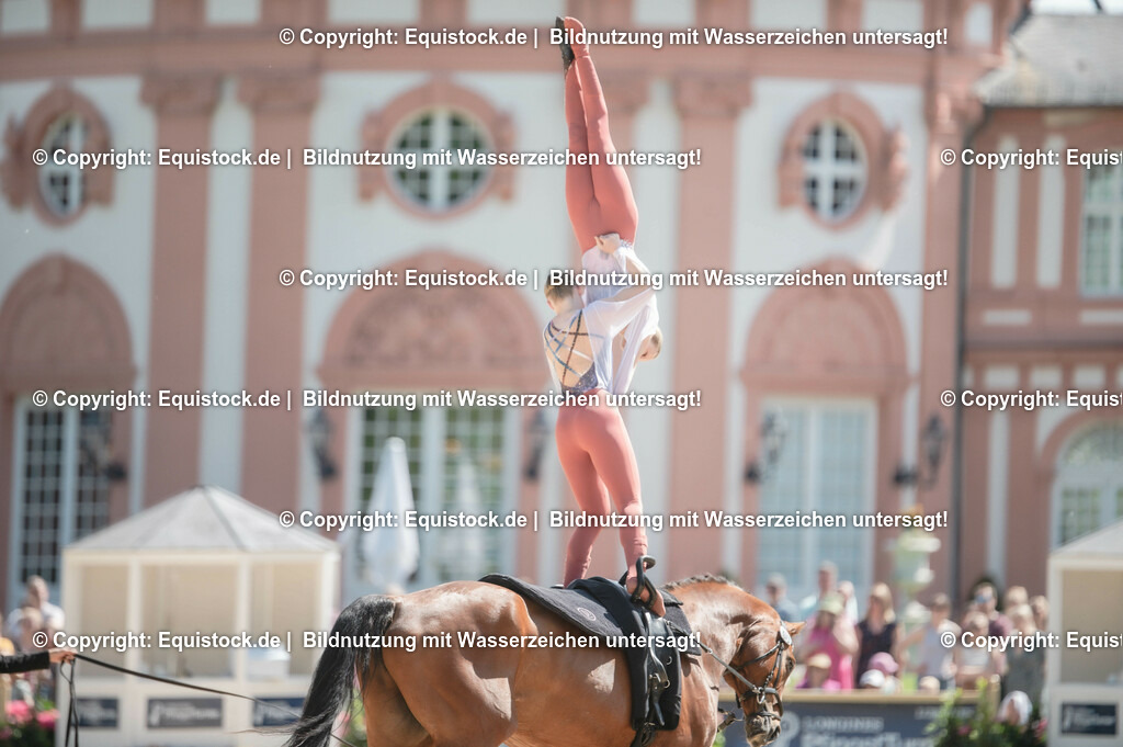 20230528_Voltigieren_NASPA_0417 | equistock