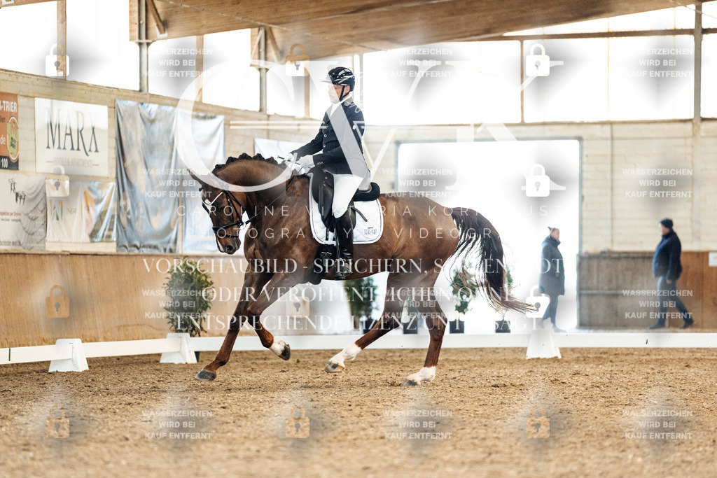 CK909386 | Turnierfotografie Pferdefotografie Trier Rheinland-Pfalz Pferdesport Reitsport Tierfotografie Sportfotografie Pferdevideo Pferdevideografie Equestrianvideography equestrianphotography  - Realisiert mit Pictrs.com