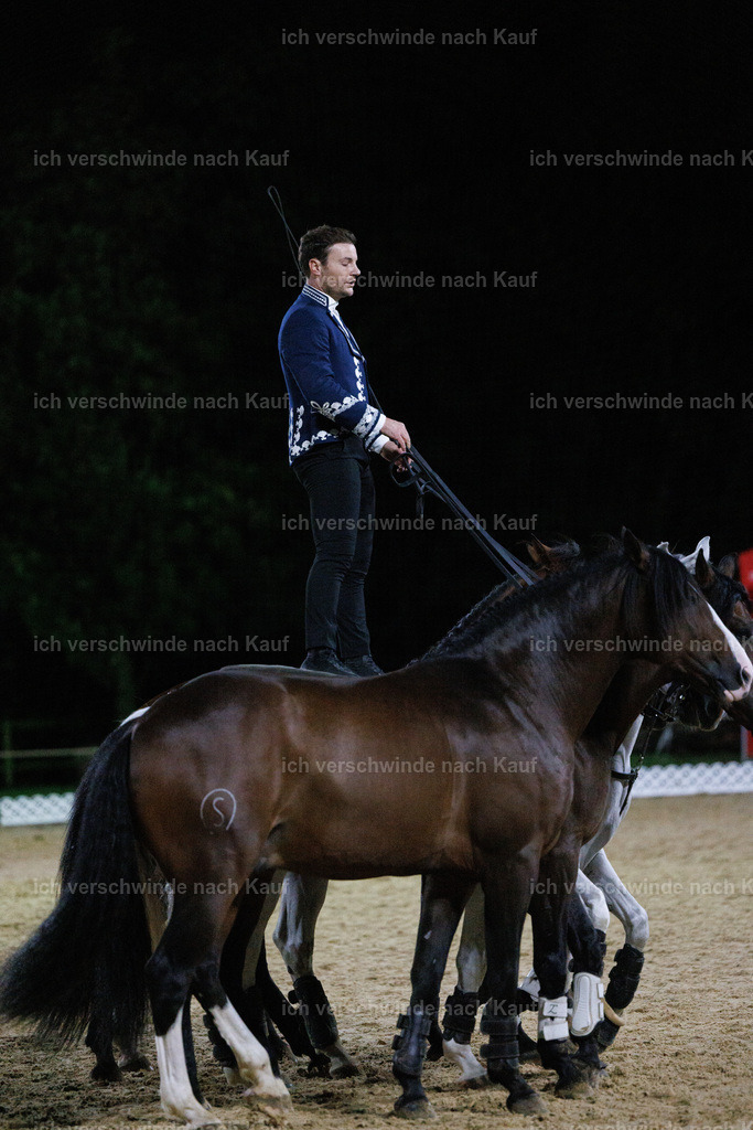 FHClassics-399 | working equitationturnier fotograf videograf stoibphotography marixx film working equitation deutschland reitsport turnierfotografie eventfotografie equestrian events