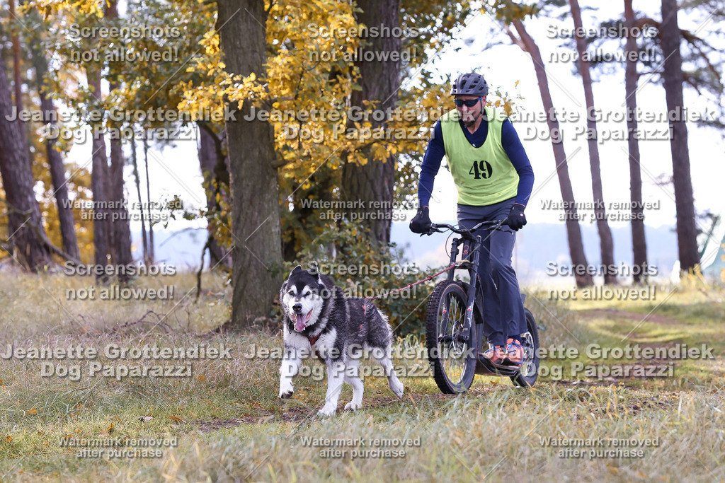 Dog Paparazzi - Elsholz 25 -185 | Dog Paparazzi Jeanette Grottendiek Fotografie & Videografie - Realisiert mit Pictrs.com