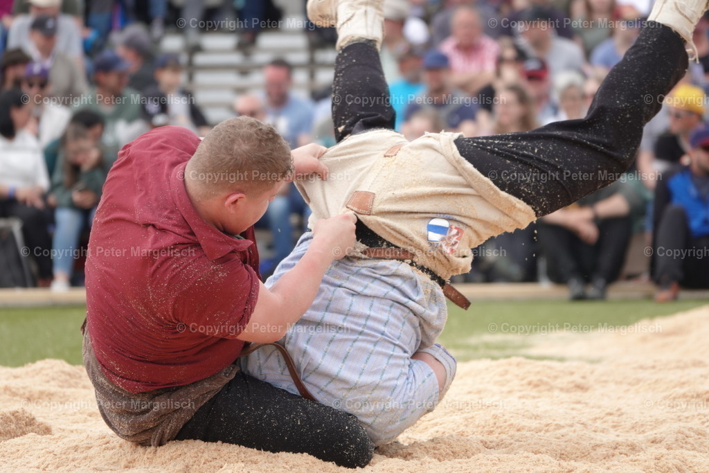 DSC03666 | Schwingen - Realisiert mit Pictrs.com