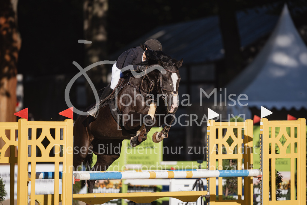 230908_OWLCh_AmateurM-209 | Deine schönsten Turniermomente als professionelle Fotos! Entdecke hochwertige Pferdesport-Fotografie im Online-Shop. Jetzt Fotos finden & bestellen!