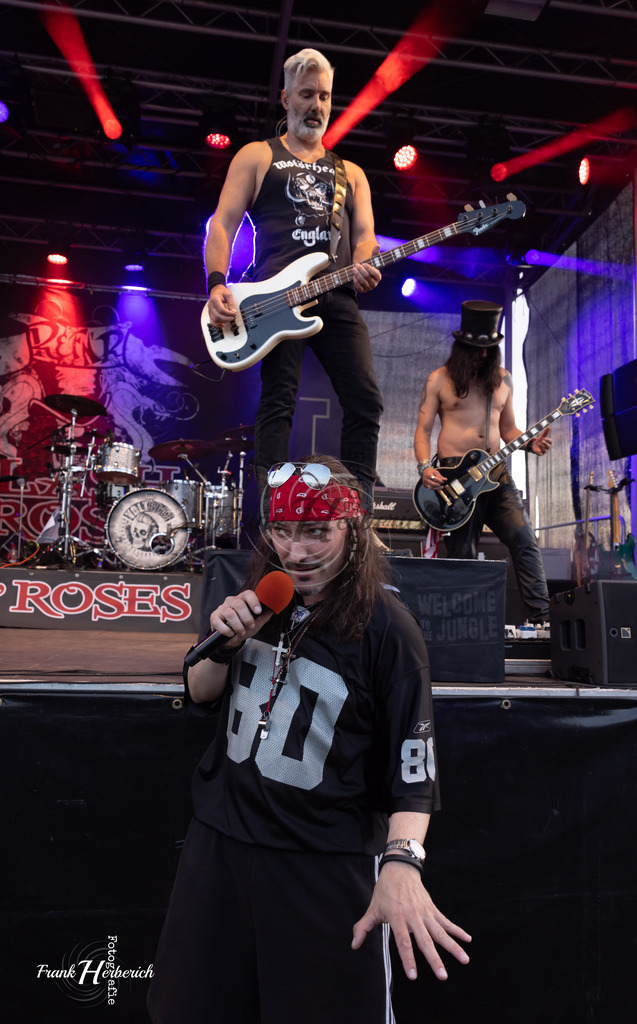 Slash n´Roses | Slash n´Roses - Realized with Pictrs.com