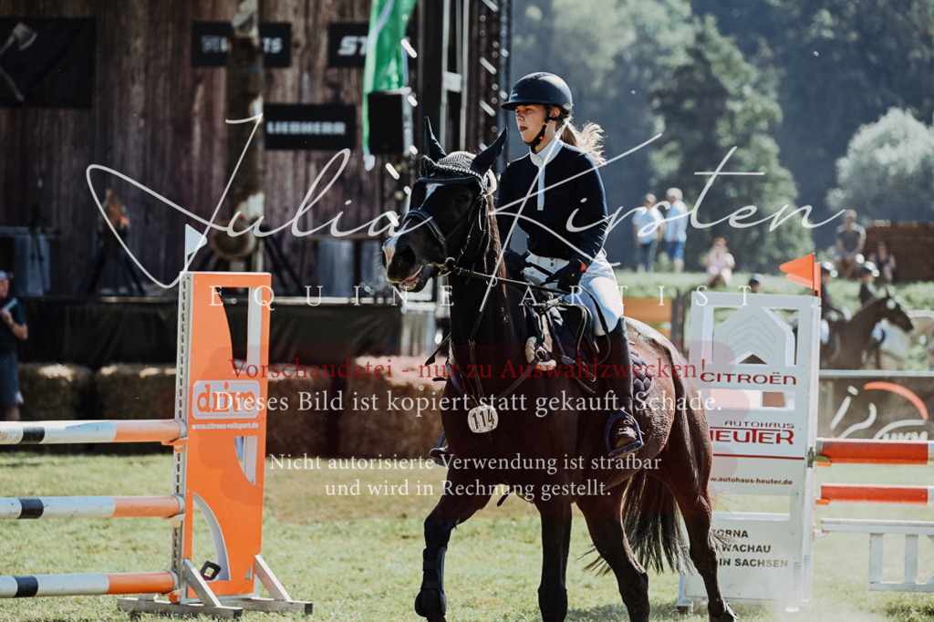 DSC_5764 | Pferde- und Turnierfotografie in Westsachsen. Pferdeportraits, Auftragszeichnungen und intuitive Kunst.
