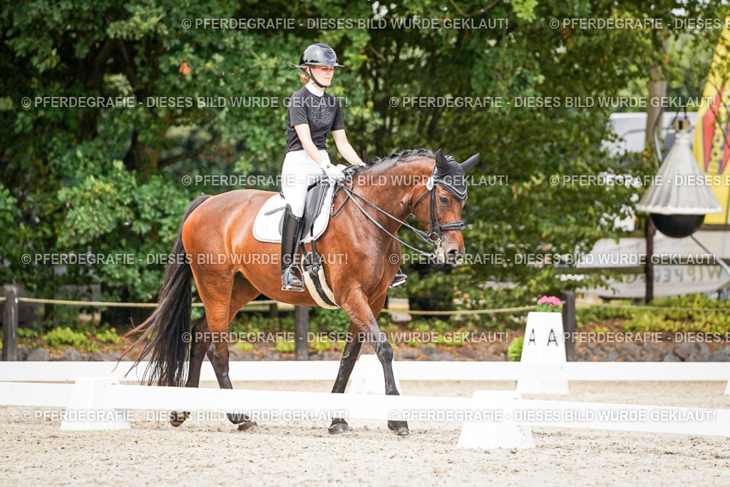 DSC06079 | Pferdegrafie