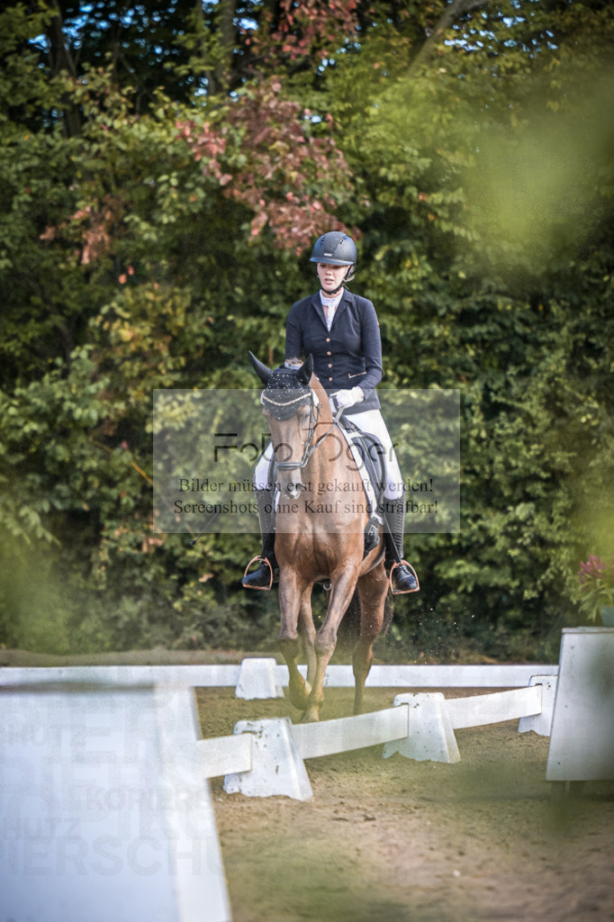 DOS_0236 | Entdecke hochwertige Reitturnierfotos von Foto Oger. Professionell, emotional und authentisch – jetzt Lieblingsmomente im Shop bestellen.Deutschlandweite Turnierfotografie. - Realisiert mit Pictrs.com