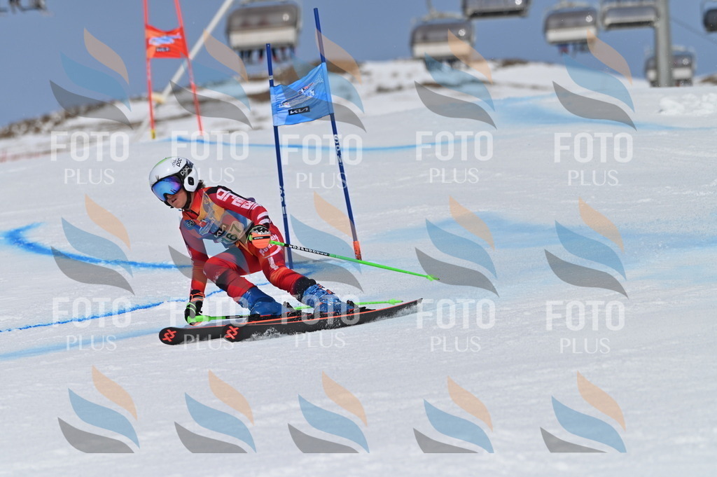 BGV_3325 | holidayphoto