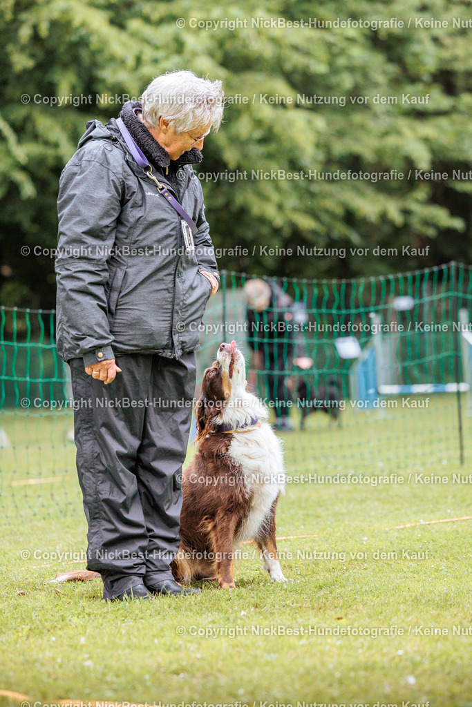 RO-Blumenthal-2026-Nickbest-Hundefotografie-2374 | Dein Hund! Dein Moment! Deine Erinnerungen! Hundefotografie in Bremen Blumenthal. Ich fange die besonderen Momente deines Vierbeiners ein – ob Indoor mit Blitzanlage oder in der freien Natur. Sicher dir dein Moment und dein Termin für eure Erinnerungen.