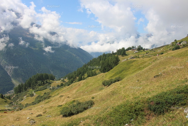 IMG_2308 | Raphael - Realisiert mit Pictrs.com