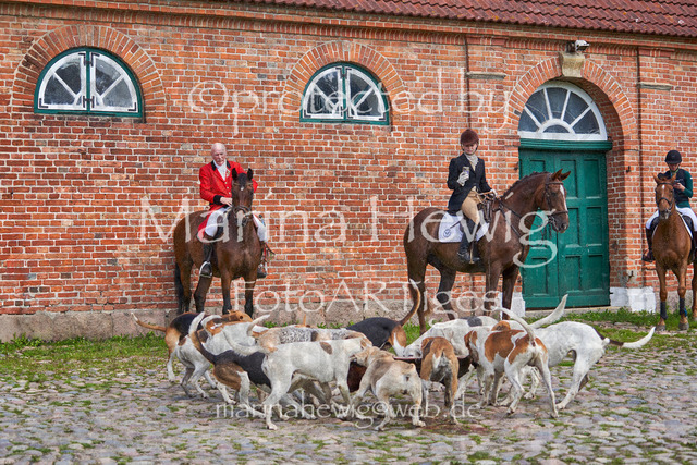 _MCH8548_Marina Hewig | Fotografie, FotoArt, PferdesportArt, Pferdesportfotografie, Landschaftsfotografie, Reisefotografie, Reise, Pferde - Realisiert mit Pictrs.com